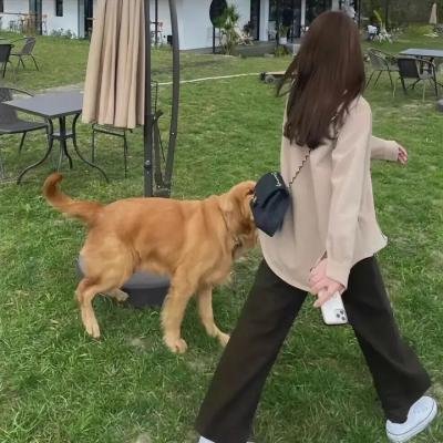 下一站是幸福